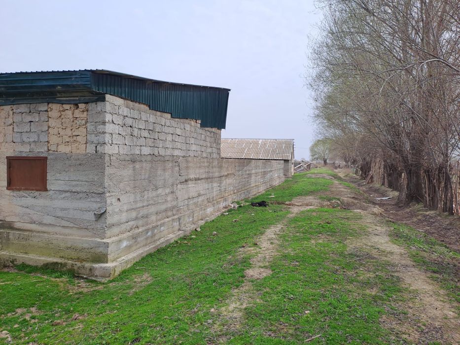 Фазенда в городе Жетысай