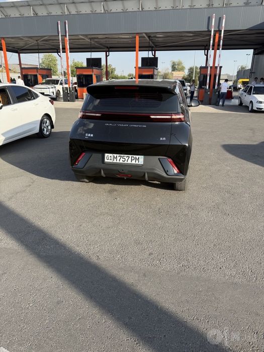 Byd seagull 2024