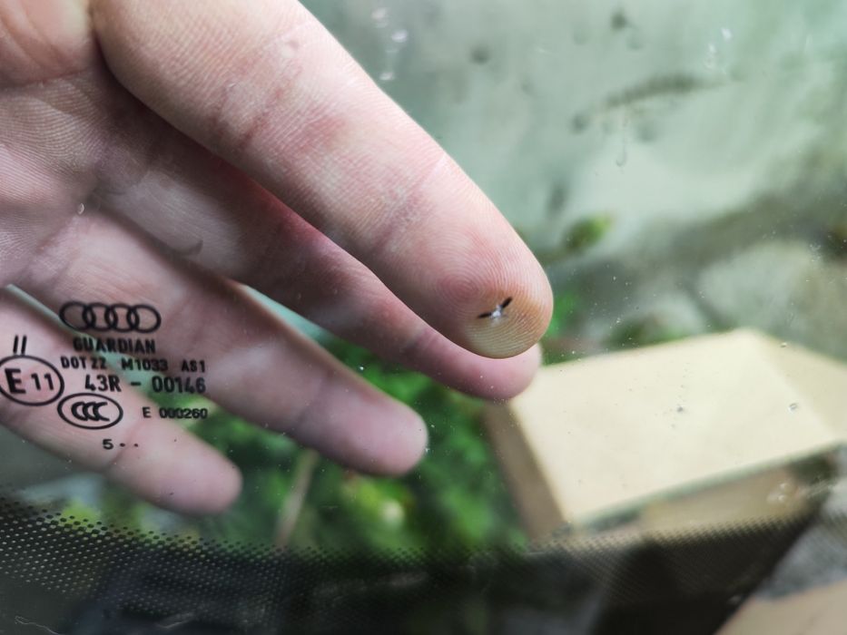 Челно стъкло Audi A6 4F 2006 3.0 TDI