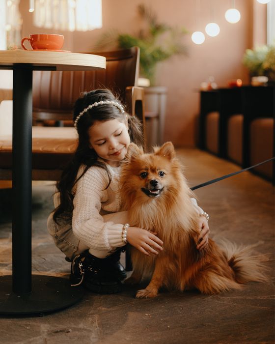 Вязка шпиц немецкий