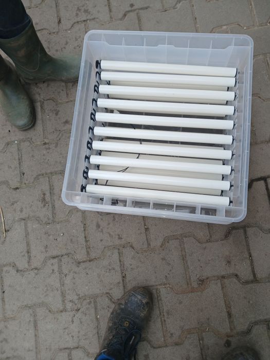 Incubator oua electronic