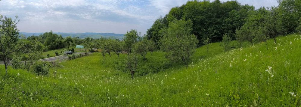 Teren Brebu, Dambovita,  la poalele munților Leaota, 2660 m