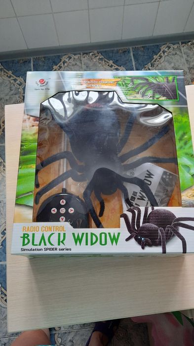 Новый.  Паук   на   пульте.