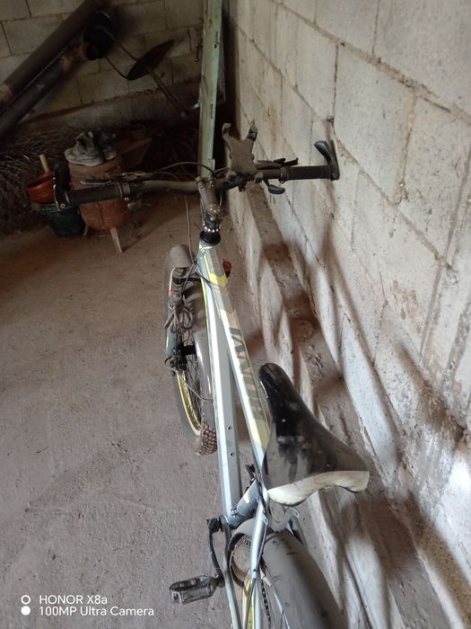 Velosiped bonvi skorsli