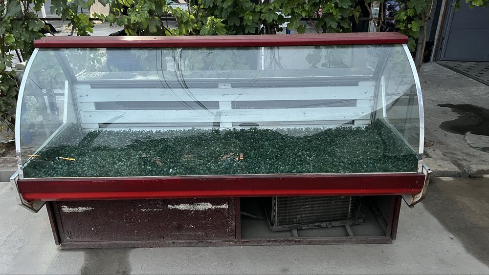 xoladilnik vitrina