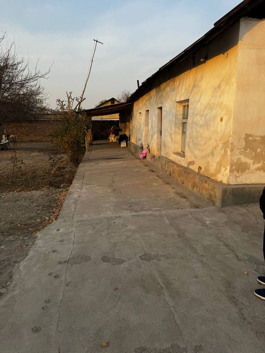 Uchastka sotiladi bez makler, ortasaroy