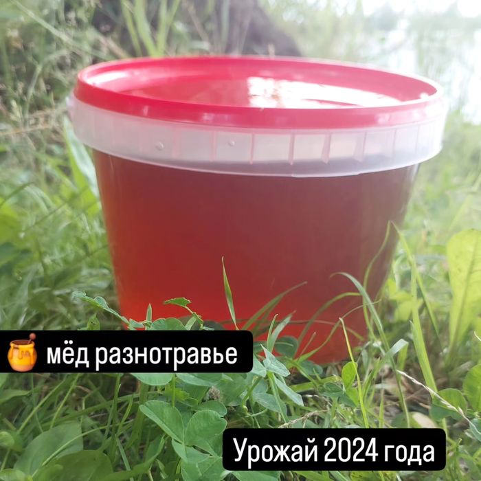 Мед  разнотравье