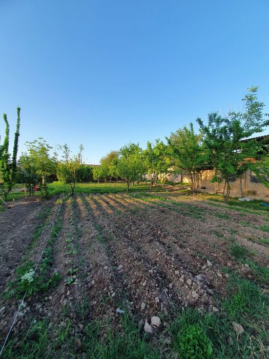 Янгибозор ок тепада уй сотилади 18 соток