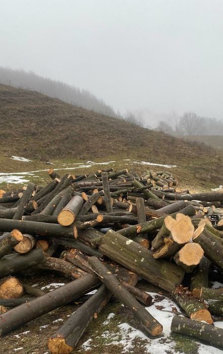 Vând lemne de foc