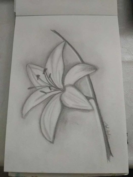 realizez desene in creion la comandă