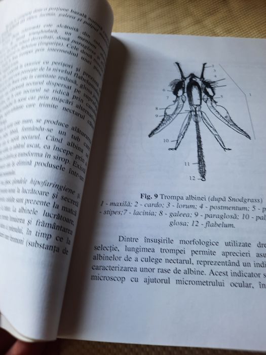 Carte "Apicultura practica"