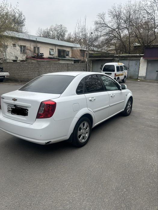 Ласети Jentra elegant +