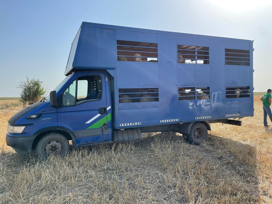 Caroserie/bena cub transport animale 2 nivele .doar cubul schimb jepp