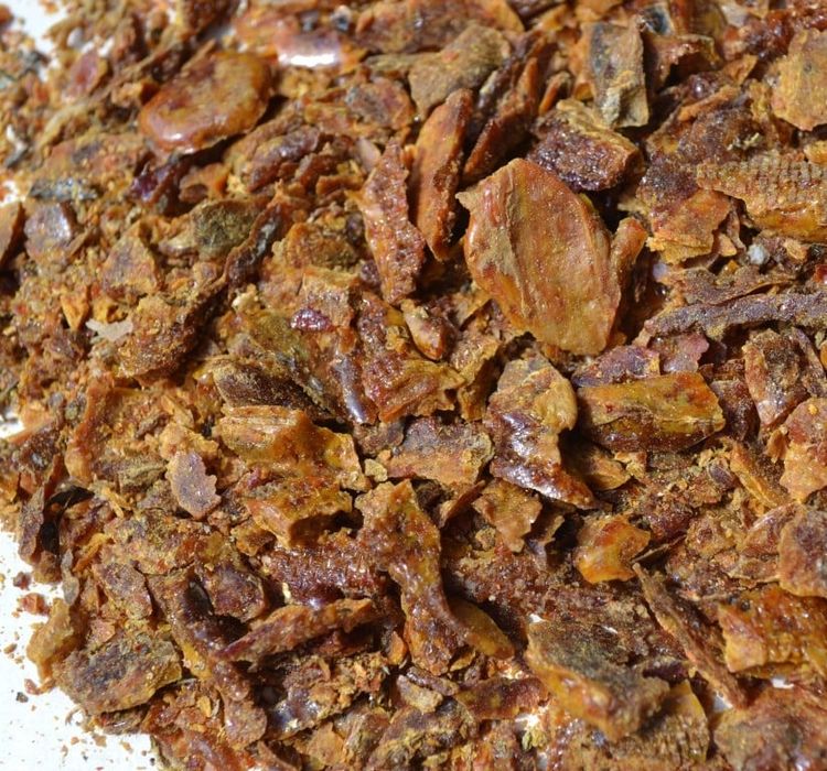 Propolis  de la propria  stupina