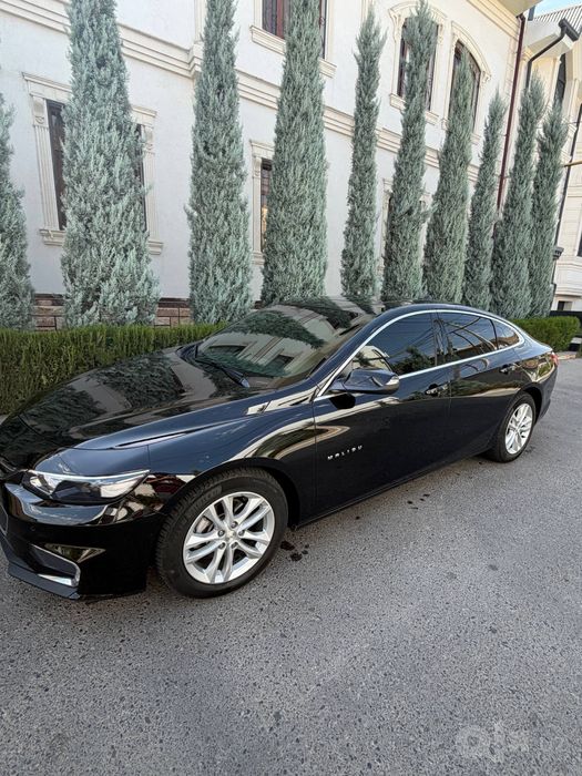 Malibu 2.4 kraska toza