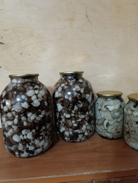 Продам грибы.валуи
