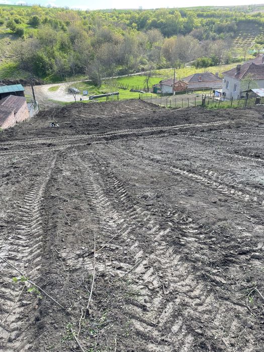 Празно дворно място