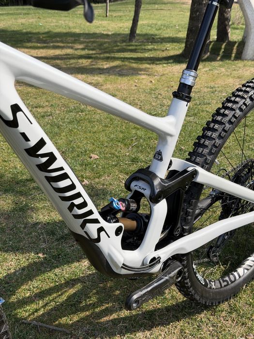 DREAM BUILD S WORKS Enduro Specialized Carbon