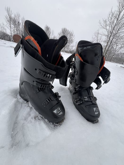 Vând clăpari Lange