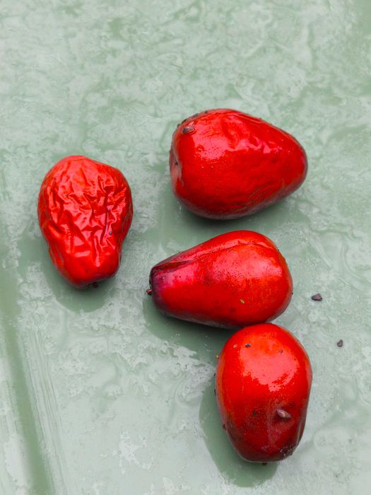 Хинап фиданки  различни височини