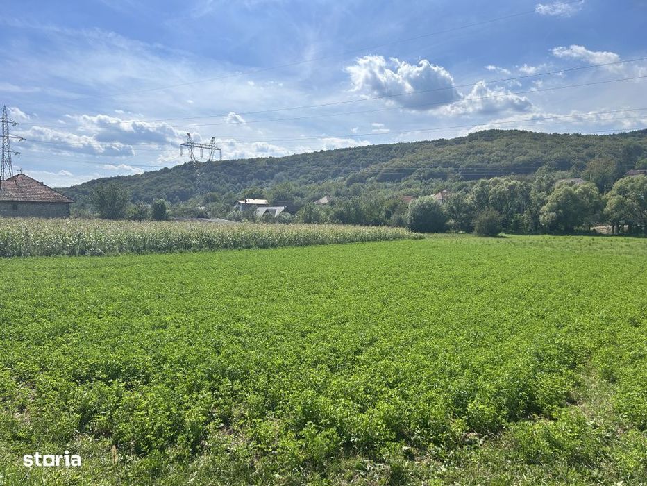 Teren intravilan 2.000 mp front 36ml Popesti Vale