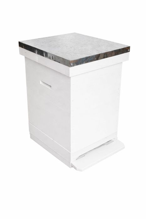 strupi albine pe 10 rame