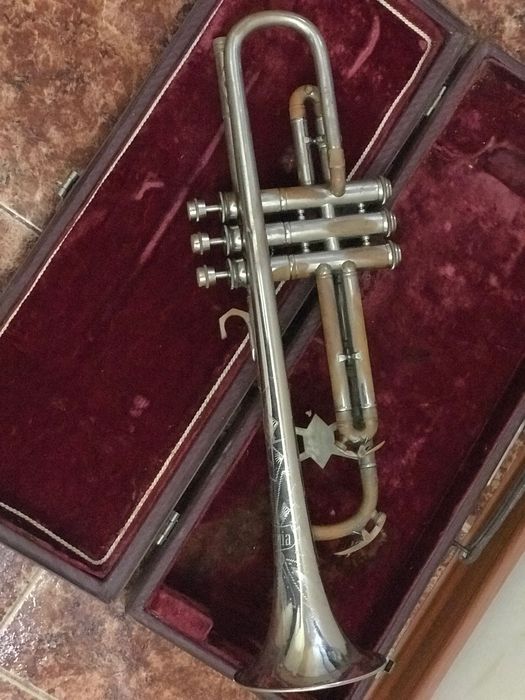 Запазен тромпет с кухарче