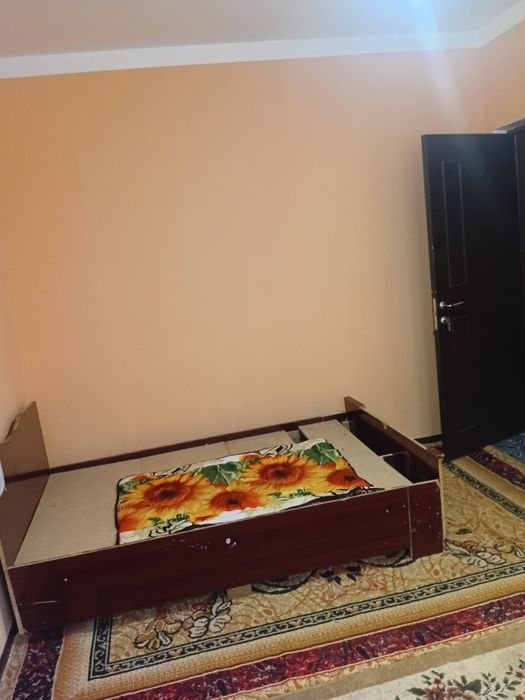 Tezda ijarachi qoyaman