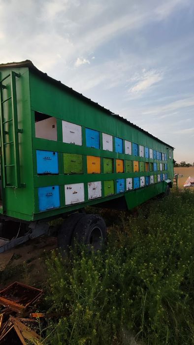 Пчелопавельон, пчелоприцеп,прицеп