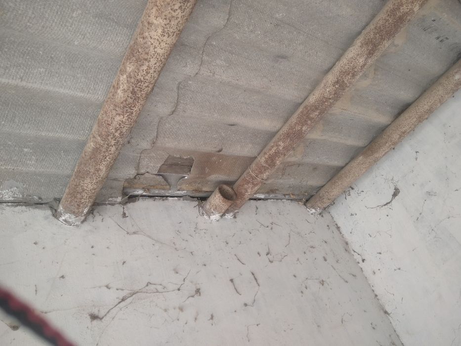 Труба сотаман. Россиянки.,  89 лик