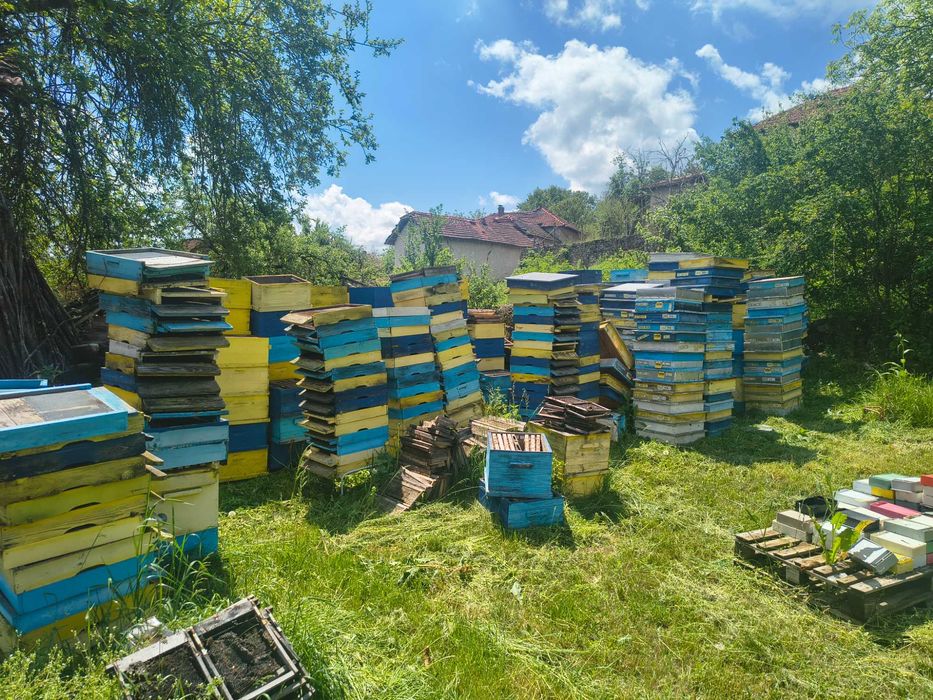 Продавам празни кошери
