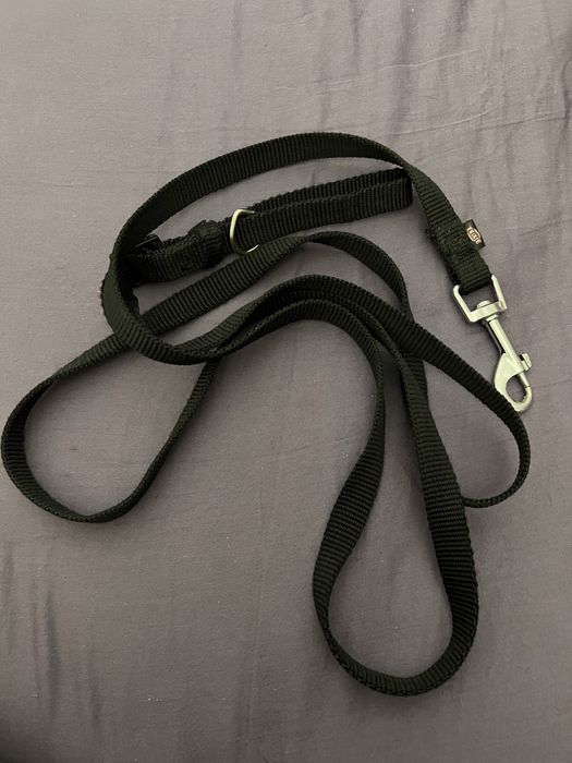 Шлейка и поводок