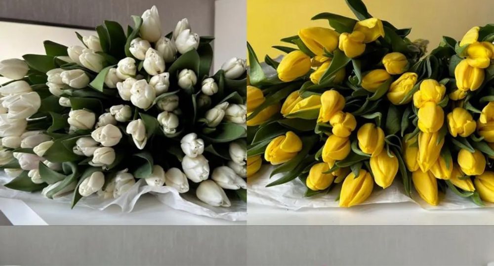 Тюльпаны опт ( крупные ) поставка 1/2 марта предзаказ