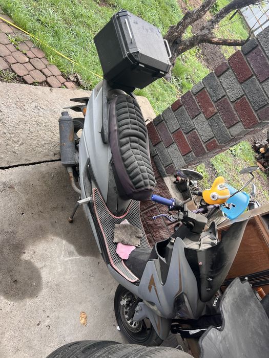 Мапед мапед бенали бенали