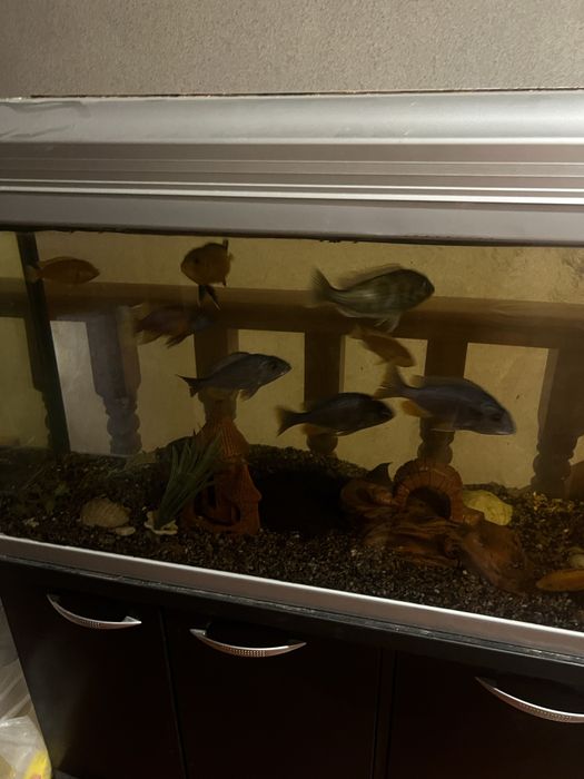 Аквариум 220 литров с тумбой