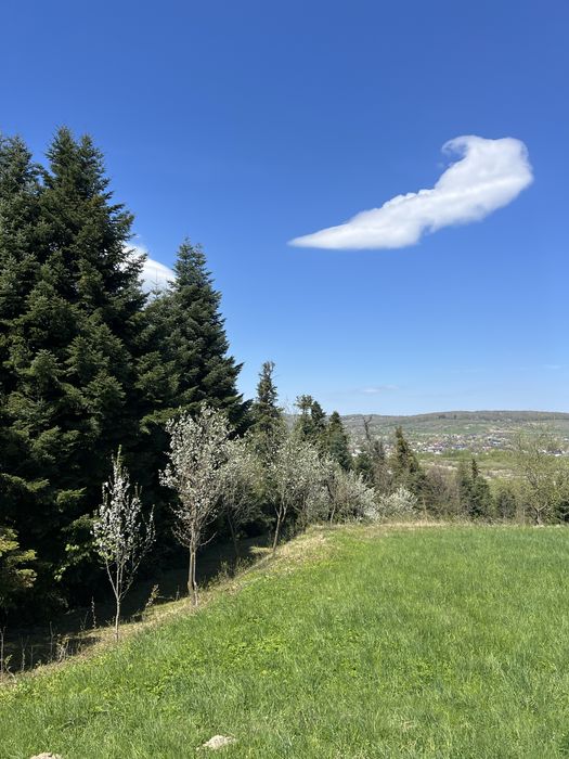 Vand teren pentru cabana