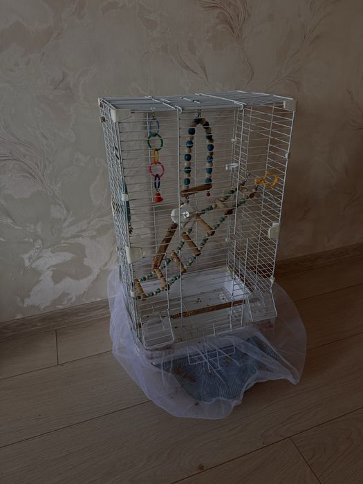 Продам попугая кореллу с клеткой