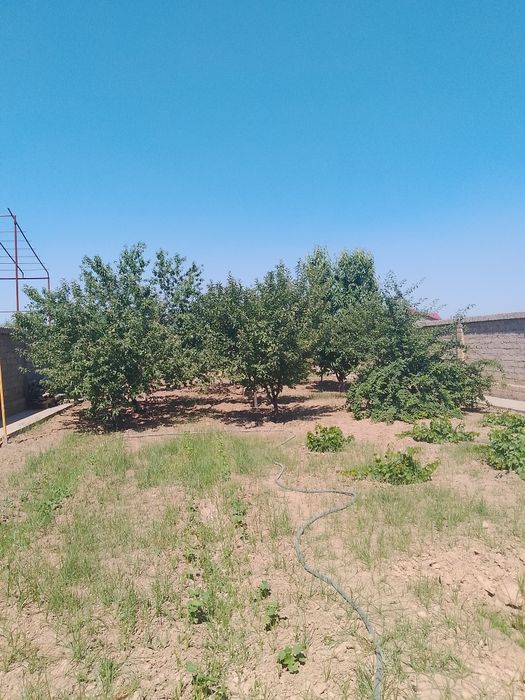 Yer sotiladi 4 sotix