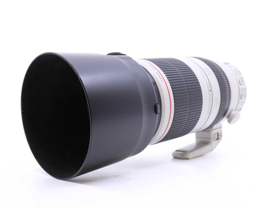 Canon EF 100-400mm f/4.5-5.6L IS II USM