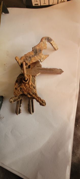 Set de chei gasit in padure