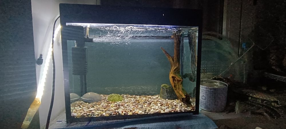 Аквариум примерно 20 литр