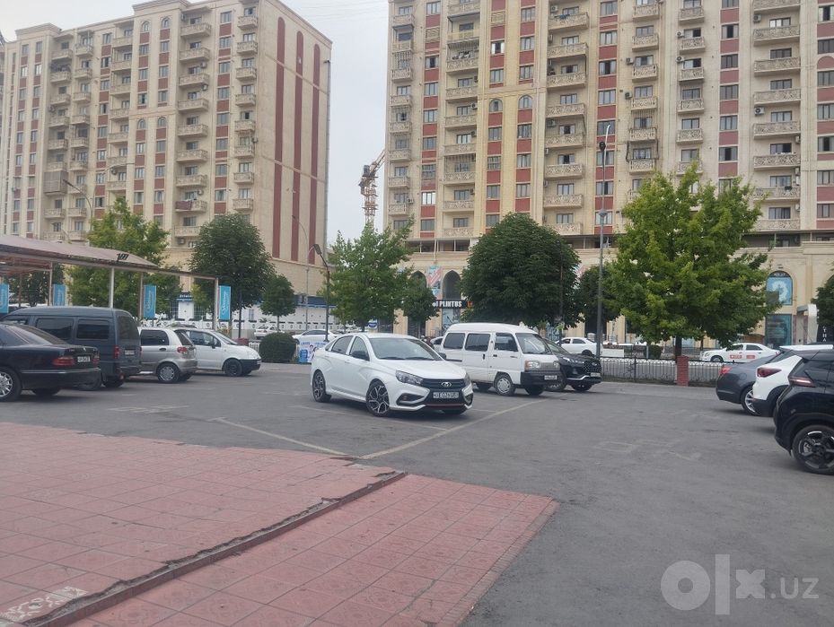 Веста спорт 2019 йил
