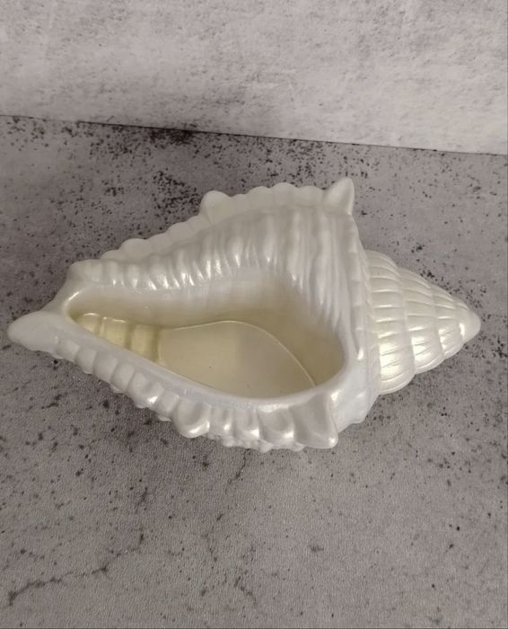 Декор для интерьера. Ракушка из гипса