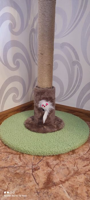 Когтеточка для кошек
