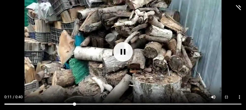 Дрова для бани и мангала, 3 тонны (Самовывоз)