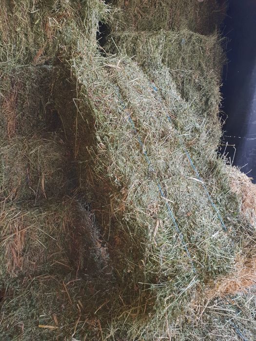 Vand baloti de lucerna