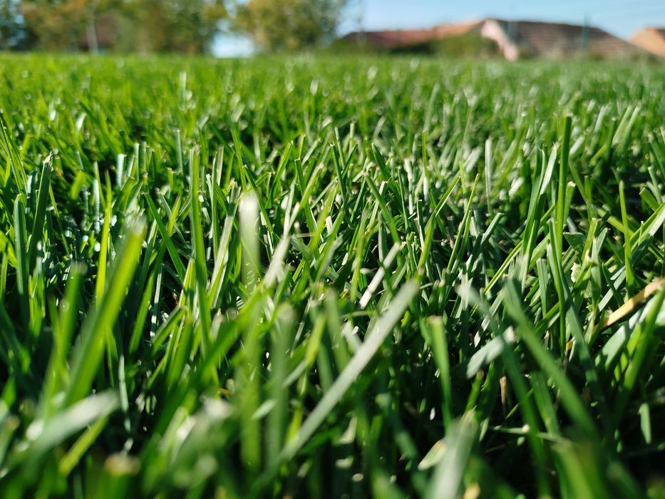 Teren agricol de vânzare