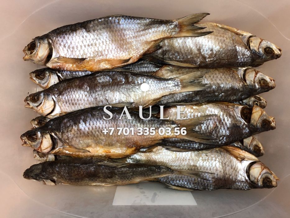 Свежая вяленая вобла