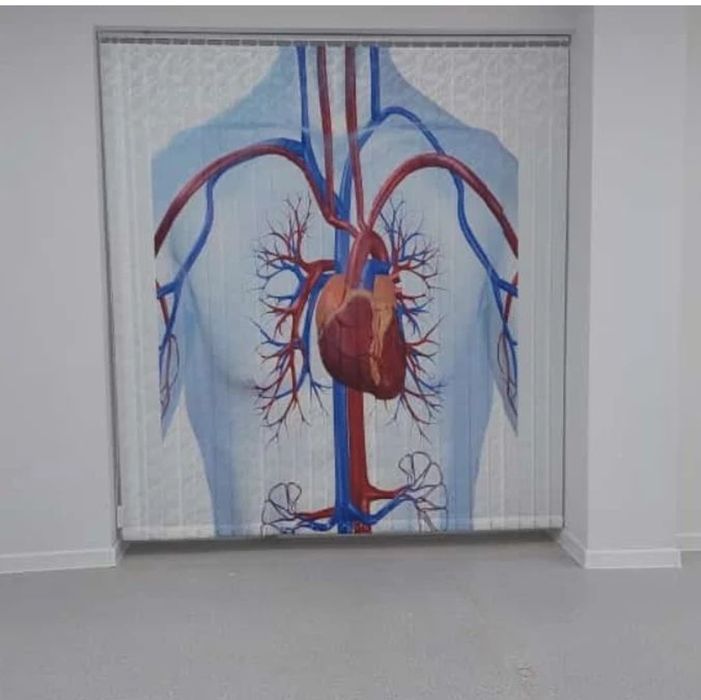 Жалюзи и ролл-шторы