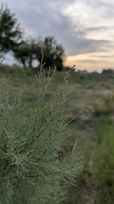 Google pixel 7 pro  128 гб